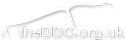 The Dyslexic Dyslexia Consultant